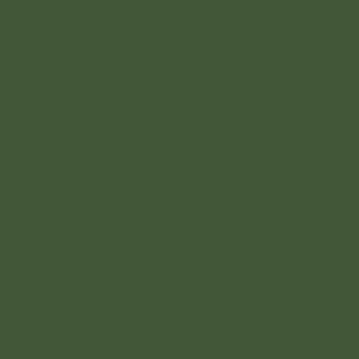 Image of Acrylic Model Paint 1 oz bottle, RAF dark Green