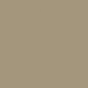 Tan Acrylic Model Paint 1 oz