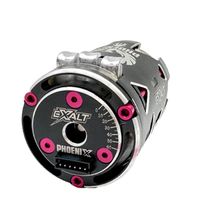 Image of Complete Modified/25.5T Pink Motor Aluminum Screw Kit
