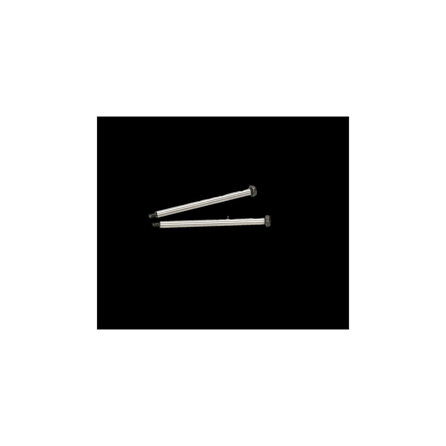 Image of Hot Bodies D216 Rear Inner Hinge Pin Set (2pcs) HBS116276