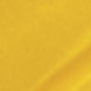 Image of Acrylic Model Paint 1oz Bottle Gold