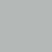 Image of Acrylic Model Paint 1 oz bottle, Silver