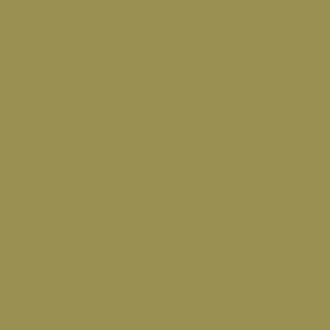 Image of Acrylic Model Paint 1 oz bottle, US Army Olive Drab