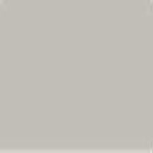 Image of Acrylic Model Paint 1 oz bottle, Light Grey FS 36495