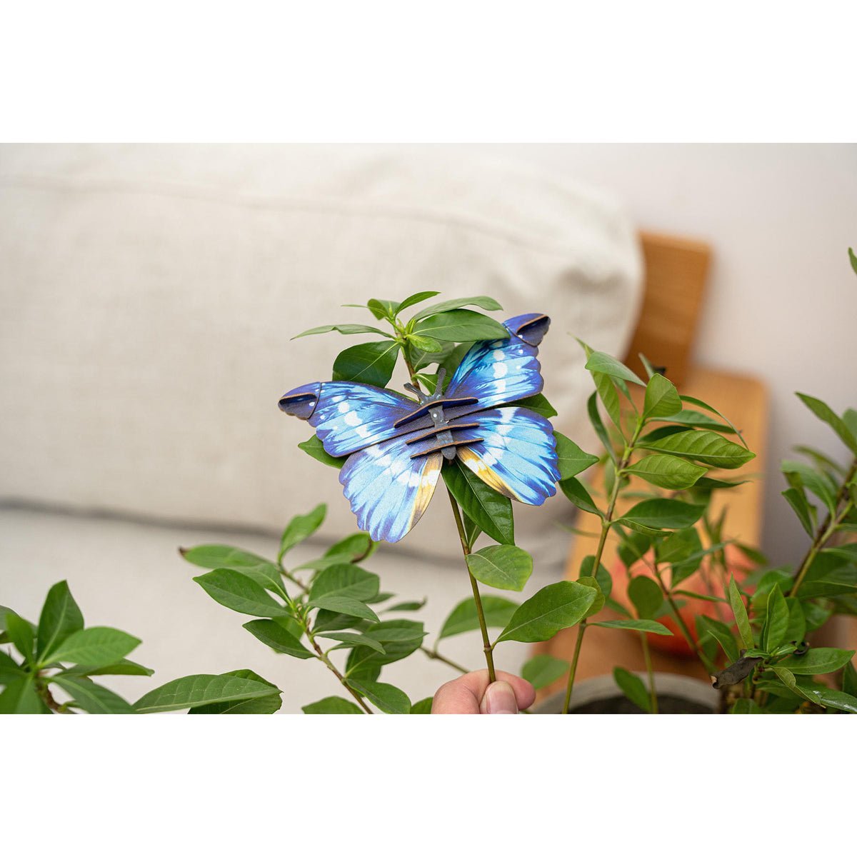 Image of Helena Morpho Butterfly 3D Puzzle, Bring Nature Home