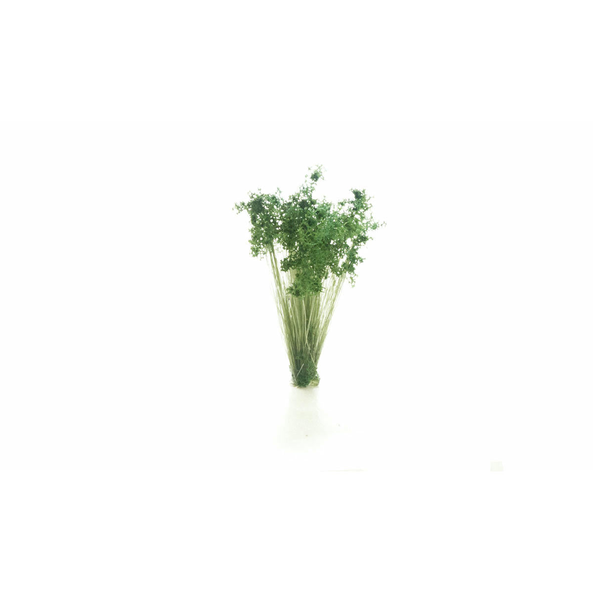 Image of Dark Green Prairie Grass Tuft Miniatures/Diorama Detailing Plants WOOFS778