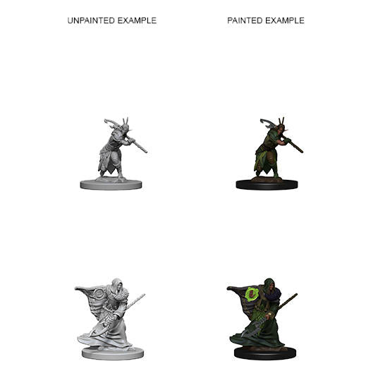 Dungeons & Dragon D&D Nolzur's Marvelous Miniatures: Male Elf Druid WZK72641