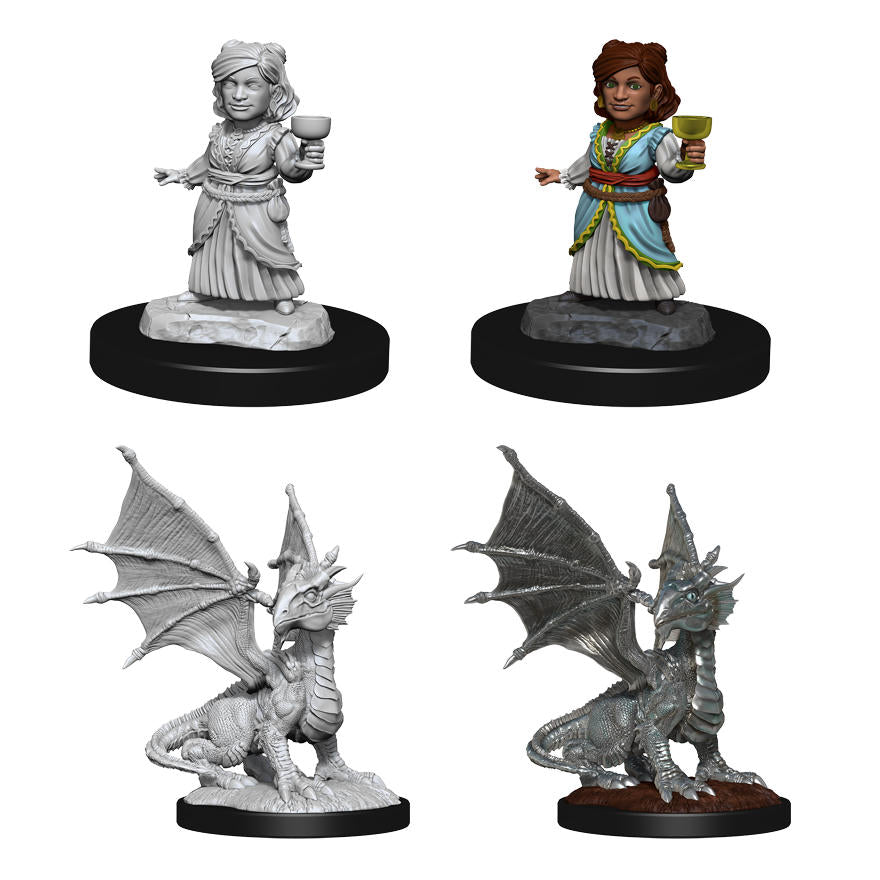 Dungeons & Dragon D&D Nolzur's Marvelous Silver Dragon Wyrmling & Halfling