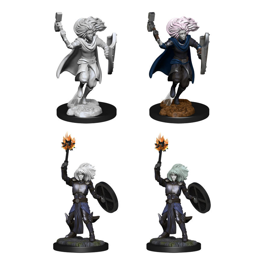 Dungeons & Dragon D&D Nolzur's Marvelous Miniatures Male Changling Cleric 90237