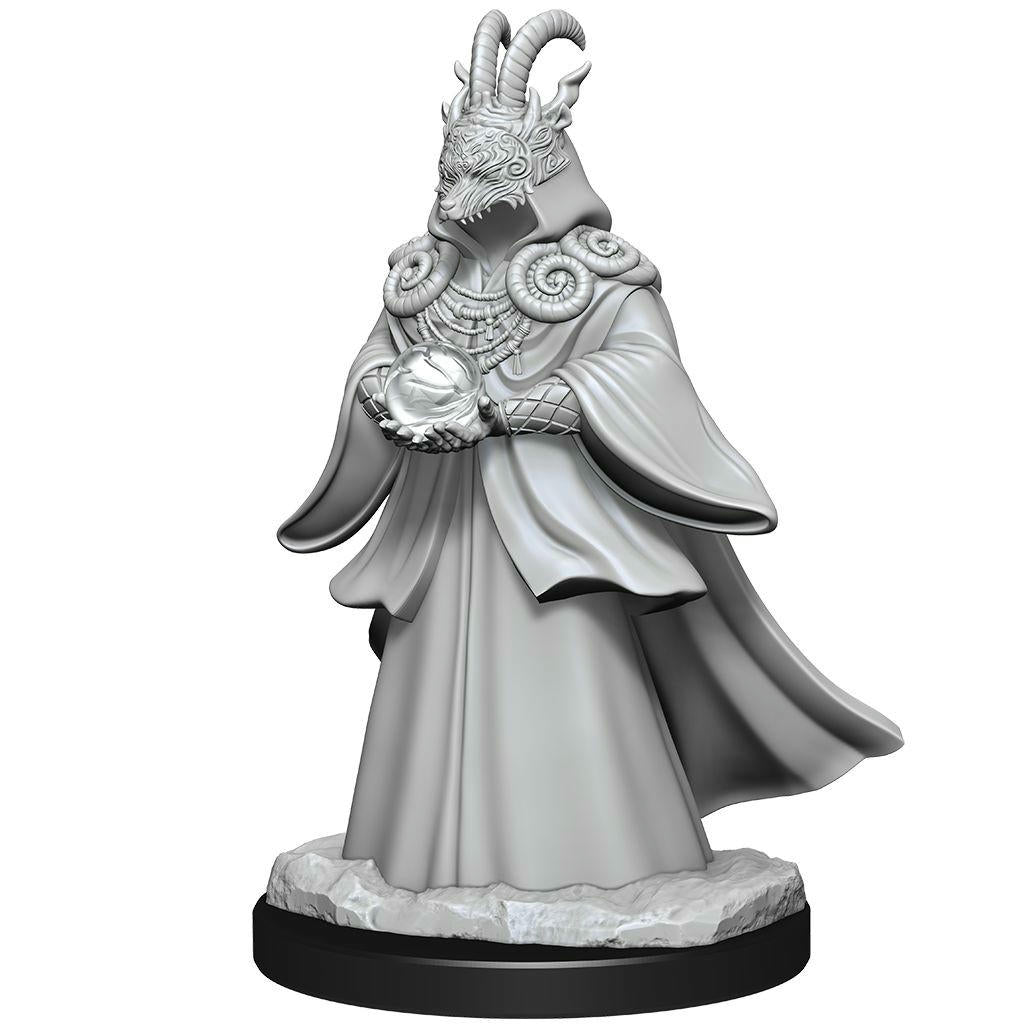 Image of Magic The Gathering Miniatures Shapeshifters WZK90278