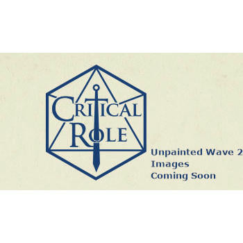 Image of Critical Role Unpainted Miniatures: W02 Ashari Waverider & Octopus