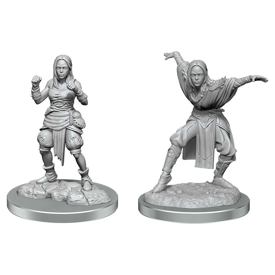 Pathfinder Battles Fantasy Miniatures: Half-Elf Monk Females WZK90652