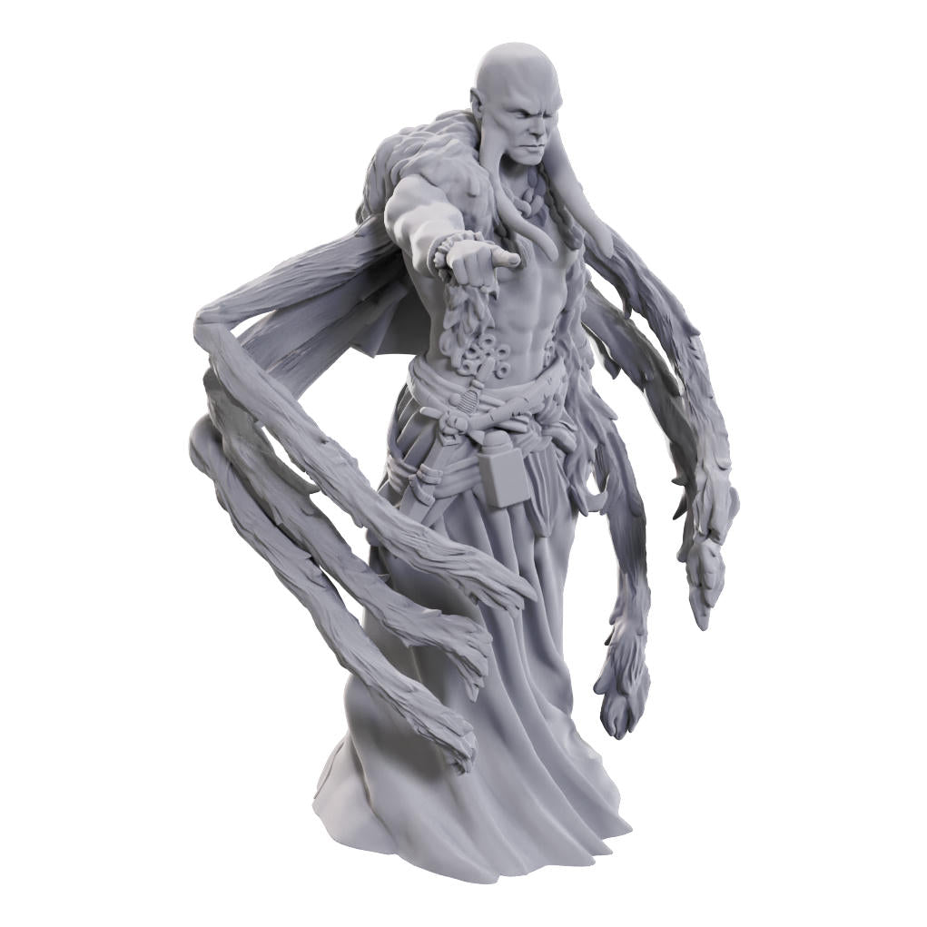 Dungeons & Dragons: Nolzur's Marvelous Unpainted Miniatures - W24 Kraken Priest