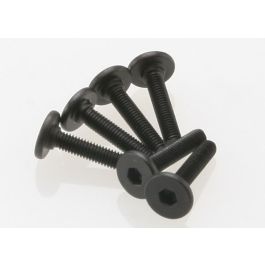 3X15mm SCREWS FLAT-HEAD (HEX D)