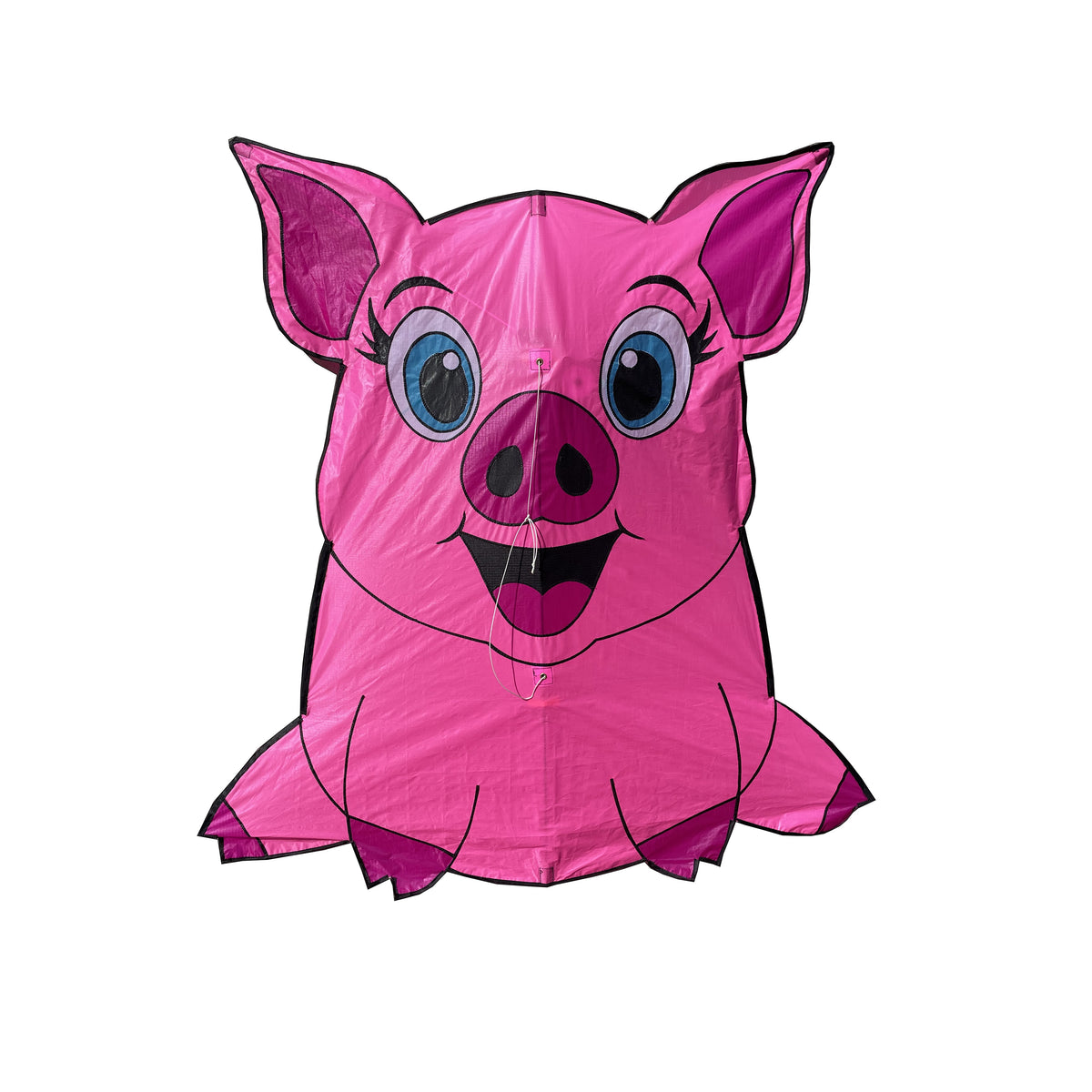 Image of Pig Kite