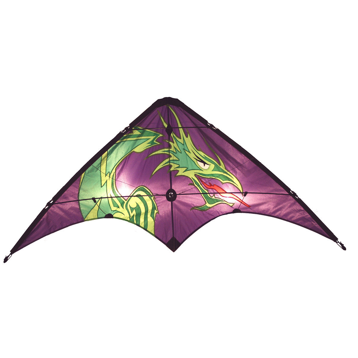 Image of Learn To Fly Dragon