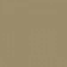 Image of Acrylic Model Paint 1 oz bottle, Sandgrau  RAL 7027