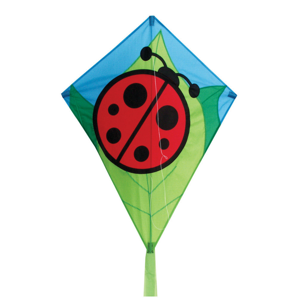 Image of 26" Lady Bug Diamond