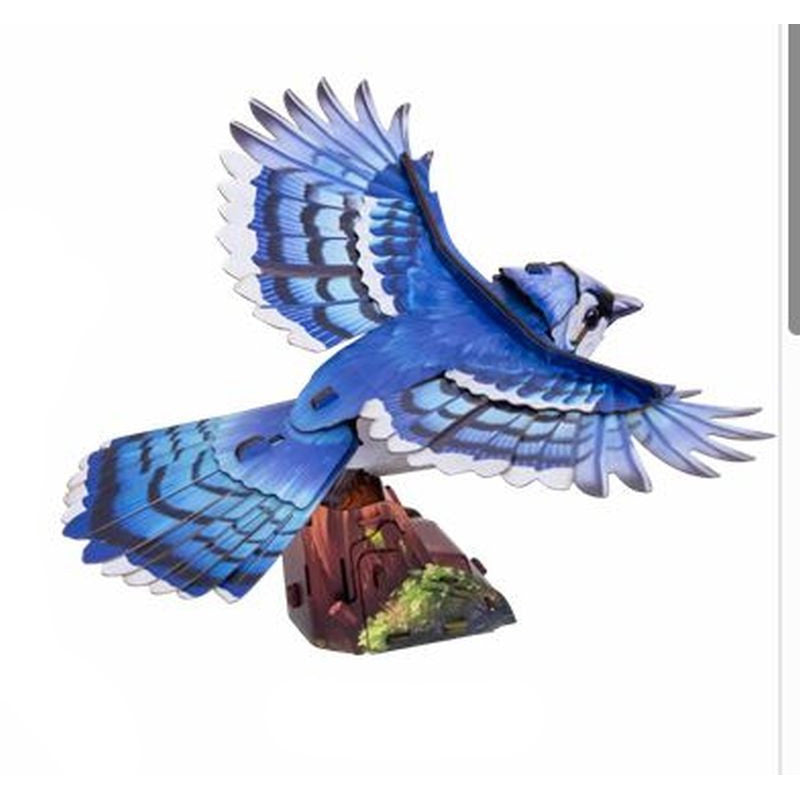 Image of Sky Echo Blue Jay