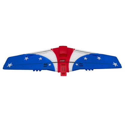 Image of Main Wing and Tail; P-51 Miss America