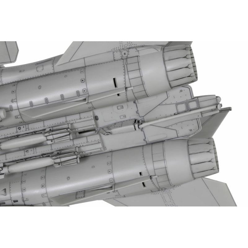 Image of 1/72 Grumman F-14D Tomcat Plastic Model