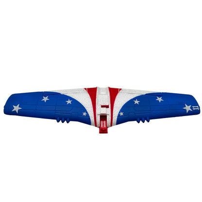 Image of Main Wing and Tail; P-51 Miss America