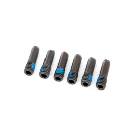 (03/23/23)Screw pin, 3x10mm (6