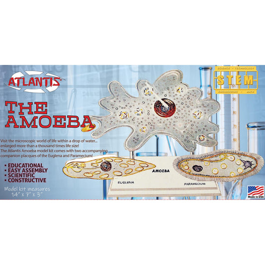 Image of Amoeba Single Cell Model Kit STEM Plastic Model Kit