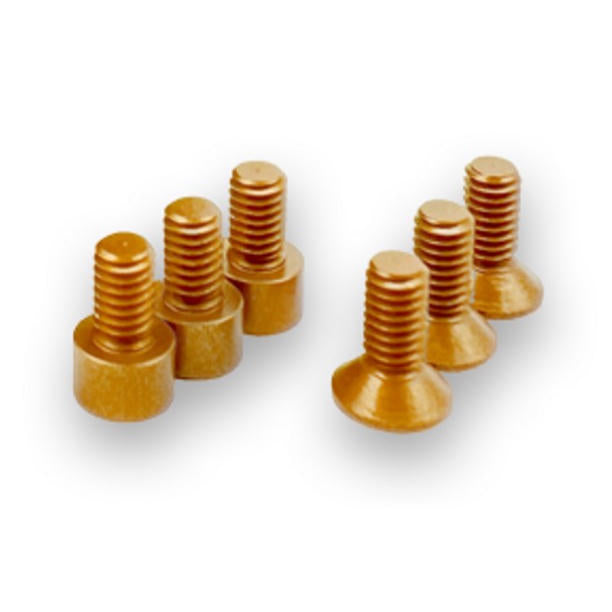 Image of Complete Spec Motor Gold Aluminum Screw Kit
