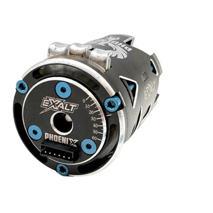 Image of Complete Modified/25.5T Motor Blue Aluminum Screw Kit
