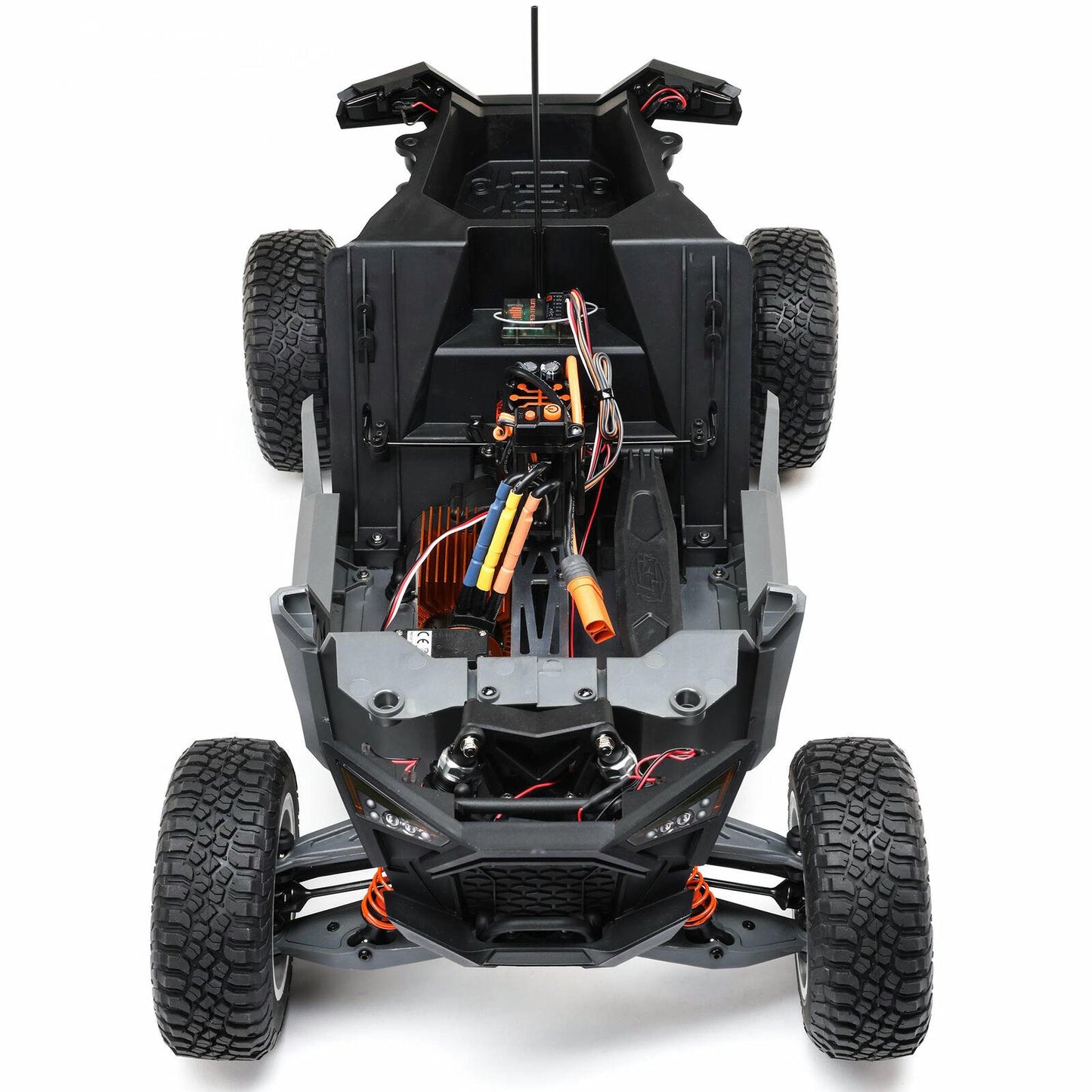 Image of Losi 1/10th Polaris RZR Rey 4WD Desert SxS Racer (Blue) LOS03029T1