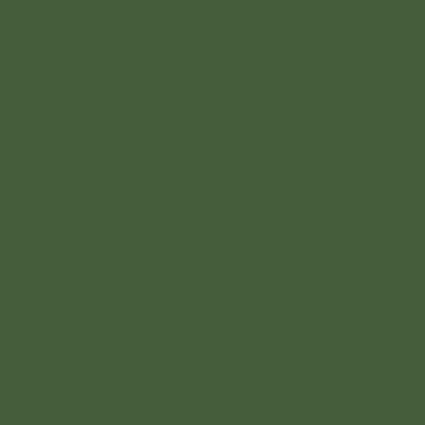 Image of Acrylic Model Paint 1 oz bottle, Russian Green Modern