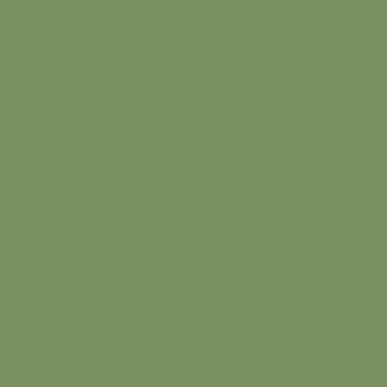 Image of Acrylic Model Paint 1 oz bottle, RAF Interior Green