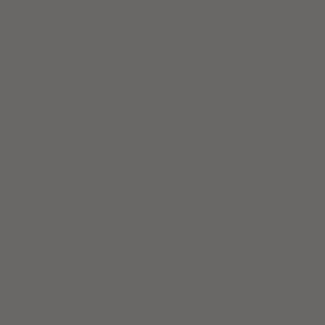 Image of Acrylic Model Paint 1 oz bottle, 1oz Have Glass Grey