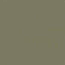 Image of Acrylic Model Paint 1 oz bottle, SAC Bomber Tan FS