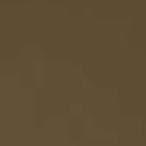 Image of Acrylic Model Paint 1 oz bottle, Rail Tie Brown