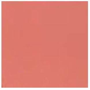Image of Acrylic Model Paint 1oz Bottle Coral  (1955) 626