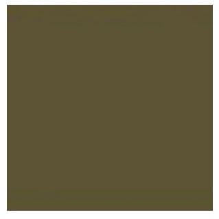 Image of Acrylic Model Paint 1oz Bottle Dunkelbraun RAL 7017