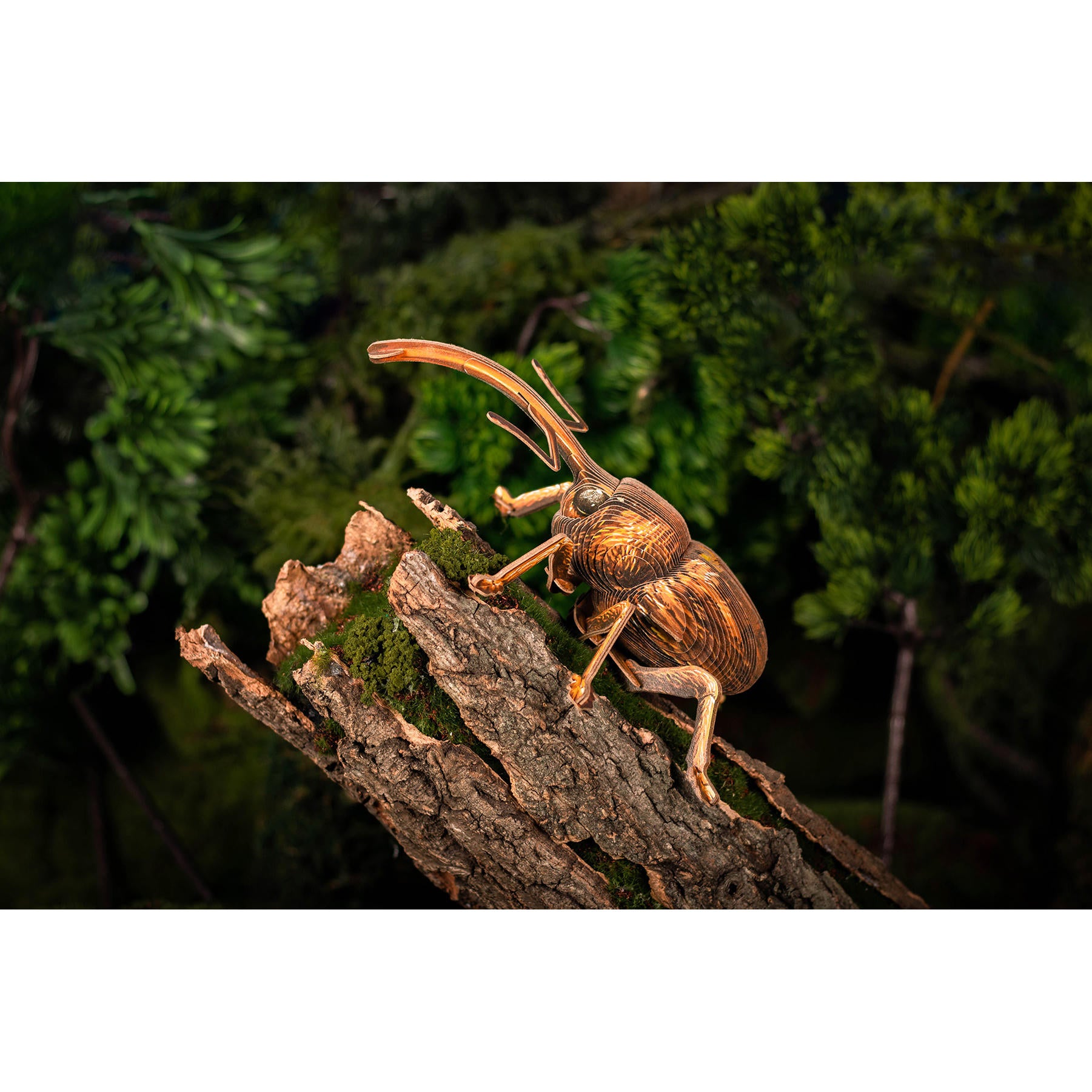 Image of Weevil 3D Puzzle, Bring Nature Home
