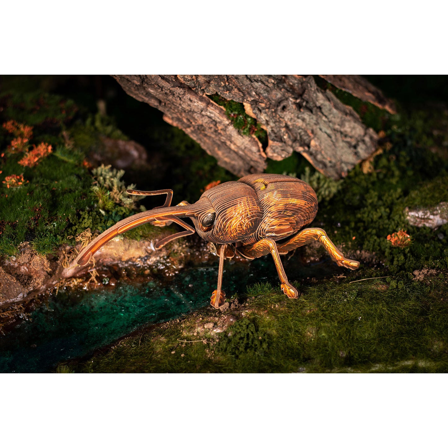 Image of Weevil 3D Puzzle, Bring Nature Home