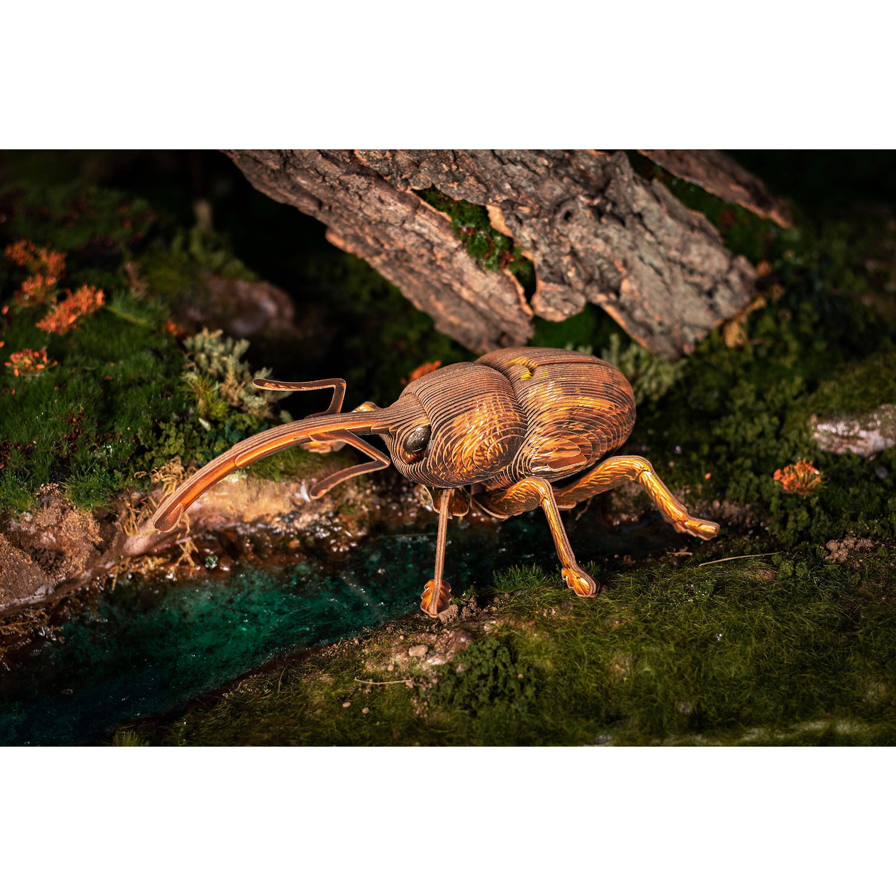 Image of Weevil 3D Puzzle, Bring Nature Home