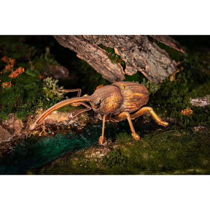 Image of Weevil 3D Puzzle, Bring Nature Home