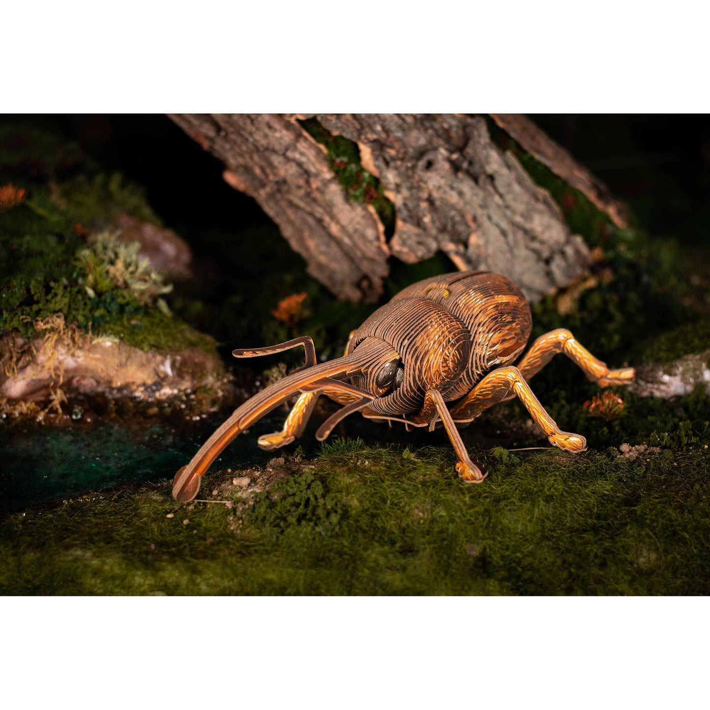 Image of Weevil 3D Puzzle, Bring Nature Home