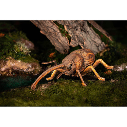 Image of Weevil 3D Puzzle, Bring Nature Home