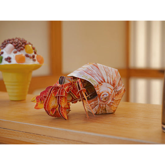 Image of Hermit Crab 3D Puzzle, Bring Nature Home