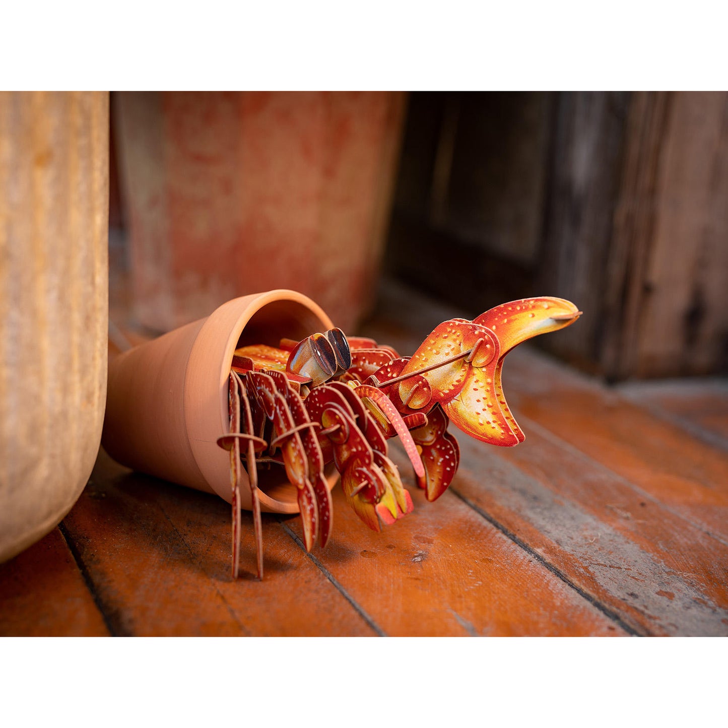 Image of Hermit Crab 3D Puzzle, Bring Nature Home