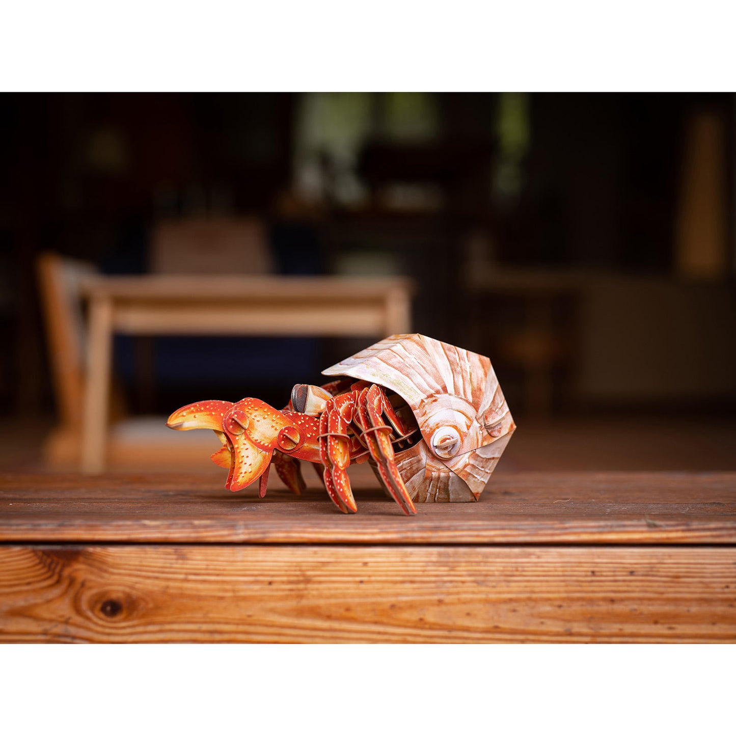 Image of Hermit Crab 3D Puzzle, Bring Nature Home