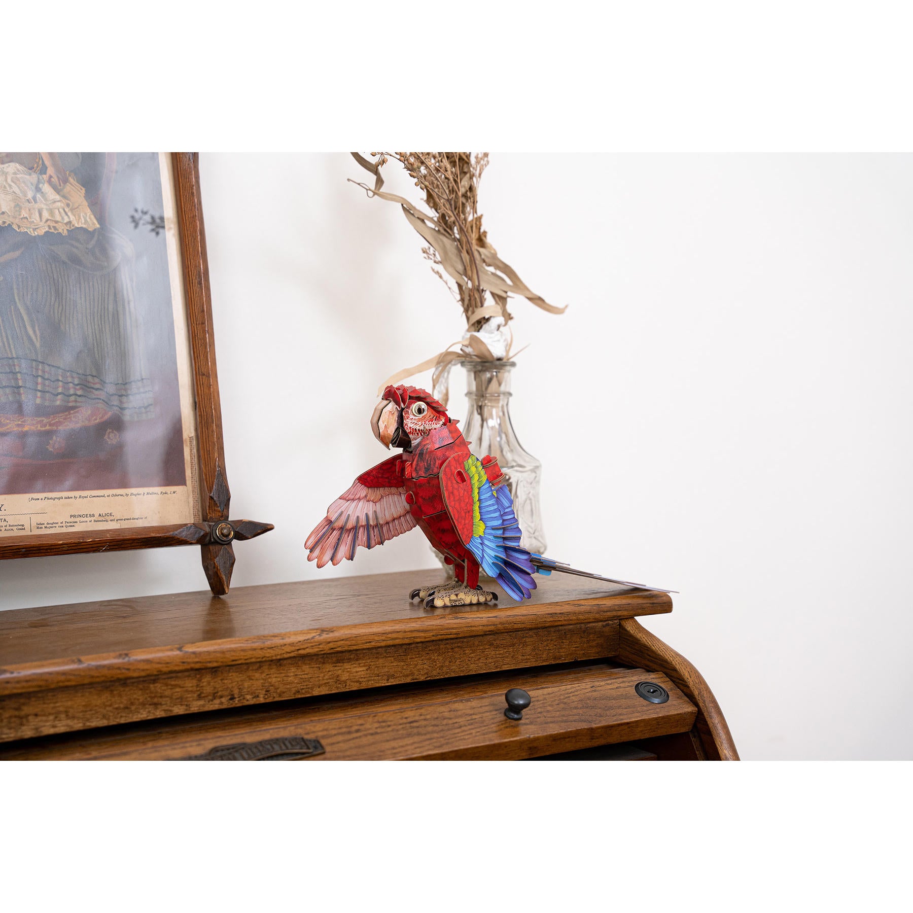 Image of Macaw 3D Kraft Paper Puzzle