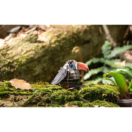 Image of Voices of Nature, Red-Billed Toucan