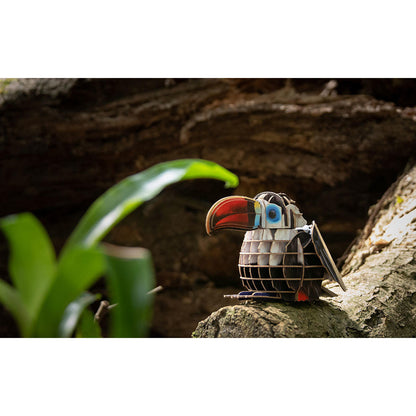 Image of Voices of Nature, Red-Billed Toucan